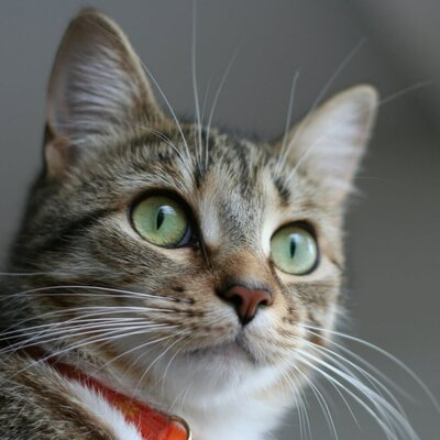 Timeline: 10 Acontecimeintos en la historia de la tecnología