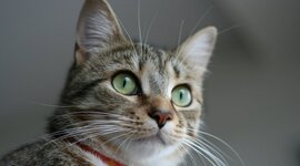 Timeline: 10 Acontecimeintos en la historia de la tecnología