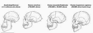 Hace aprox. 4 millones de años.