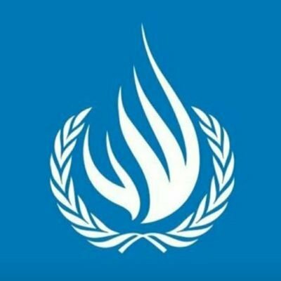 La ONU proclamo la necesidad de proteger los derechos de las personas física y mentalmente desfavorecidas y así asegurar su bienestar y rehabilitación.