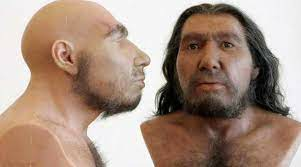 aparición de los humanos modernos