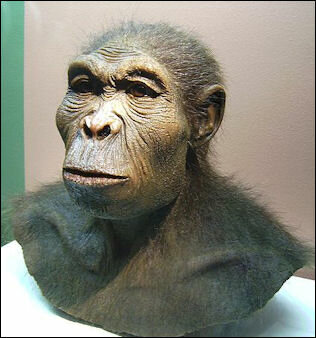 Los primeros seres emergieron.