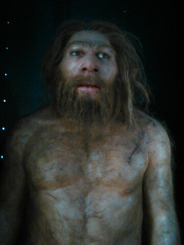 Homo Neanderthal