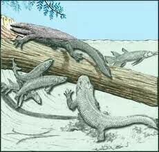 MASS EXTINTION OF THE DEVONIAN