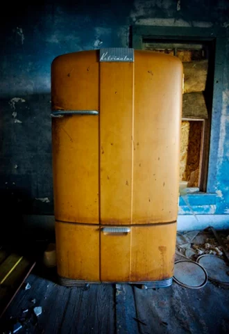 First use of frozen food storage