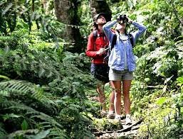 Impulso al turismo ecológico.