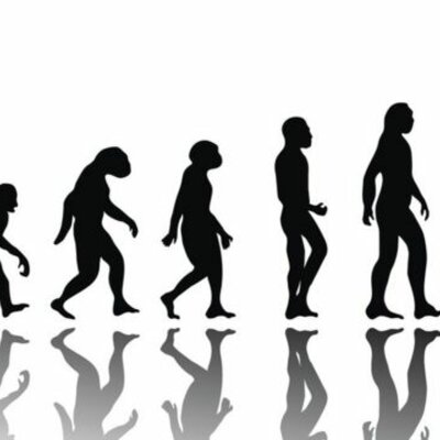 Timeline: Producto integrador