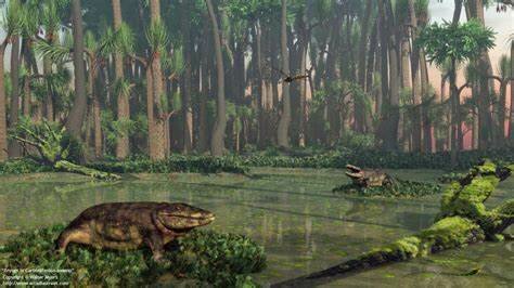COLLAPSE OF THE CARBONIFEROUS RAINFOREST