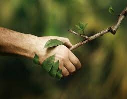 Alocuciones más destacadas