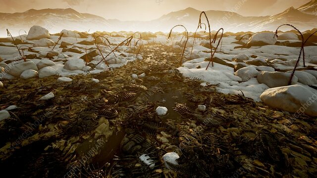 EXTINCTION OF ORDOVICIAN-SILURIAN