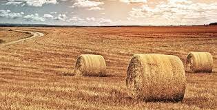 Inicio de la revolución agrícola