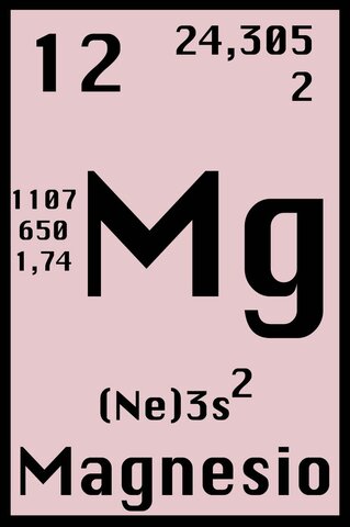 12- MAGNESIO