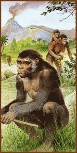 De cuadrúpedos a bípedos ( Orrorin Tungenensis)