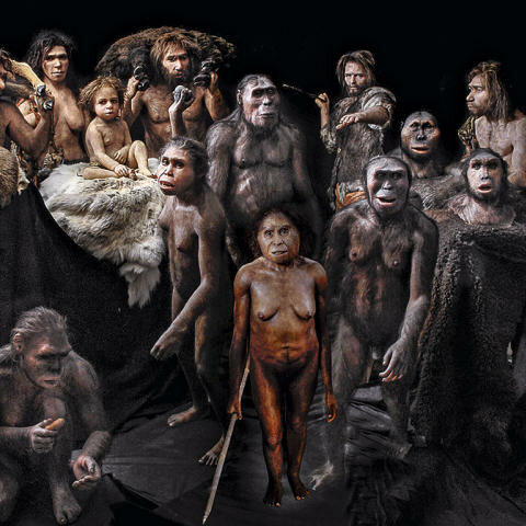 hace unos 50.000 años, sapiens, neandertales y denisovanos se hallaban en este punto limítrofe