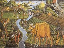 Una agricultura eficiente