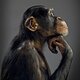 Conocer ciencia evolucion origen hombre xlsemanal 768x506