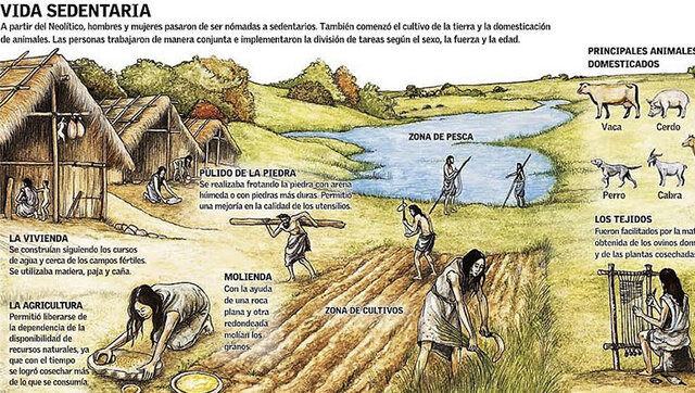 La revolución agrícola. Domesticación de plantas y animales. Asentamientos permanentes.
