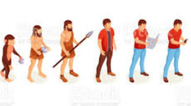 Timeline: Evolución humana