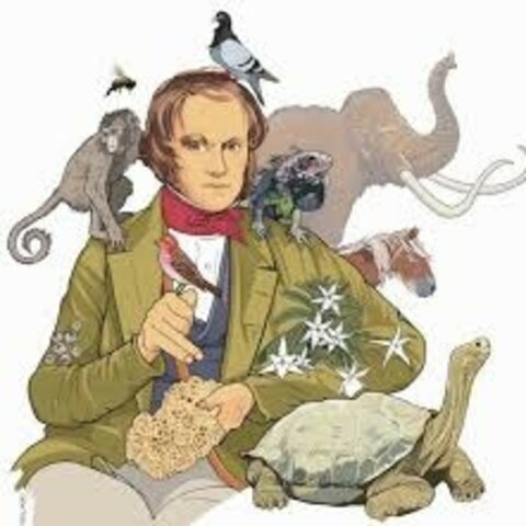 revolucion darwiniana