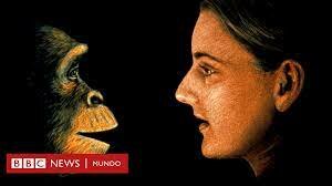 Hace 28 millones de años