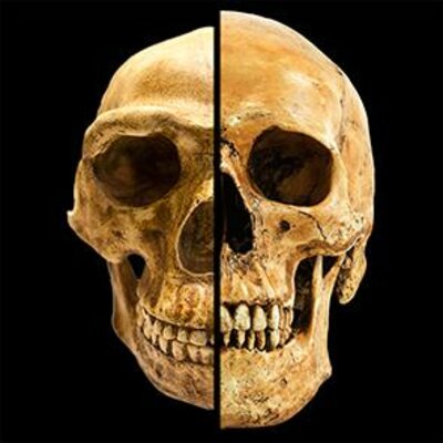 Timeline: Relaciones socio-ambientales en diferentes periodos.