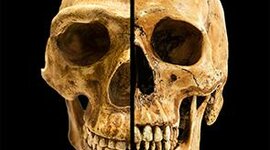 Timeline: Relaciones socio-ambientales en diferentes periodos.