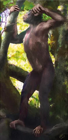 hace 10.000.000 años