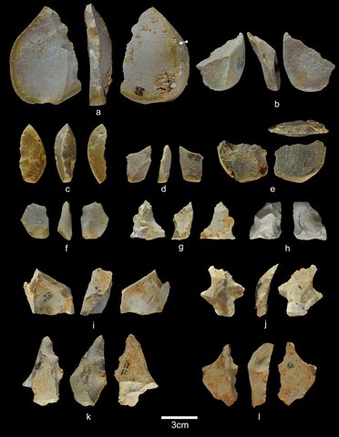 Homo habilis 2,500,000 años a.C.