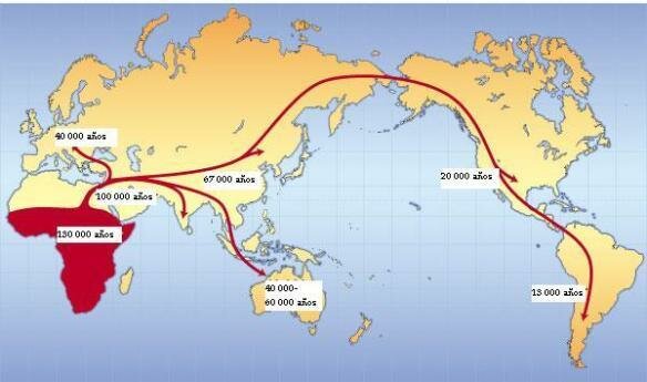 Los sapiens colonizan Australia.