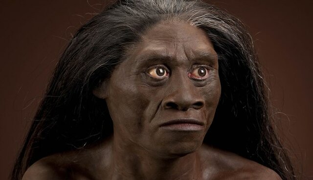 Homo floresiensis (hace 100,000 – 50,000)
