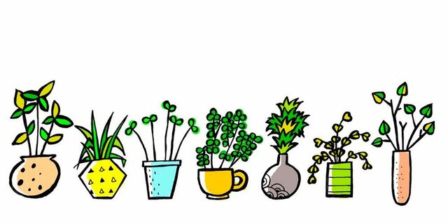 Alimentos transgénicos