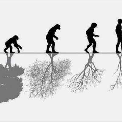 Timeline: Sociedad y naturaleza