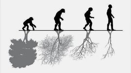 Timeline: Sociedad y naturaleza
