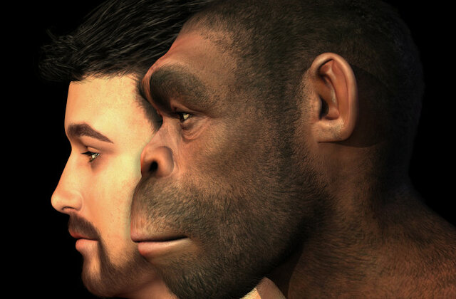 Homo Sapiens