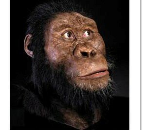 Primeras evoluciones a seres humanos