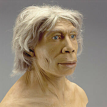 Homo neanderthalensis "Hombre de Neandertal"