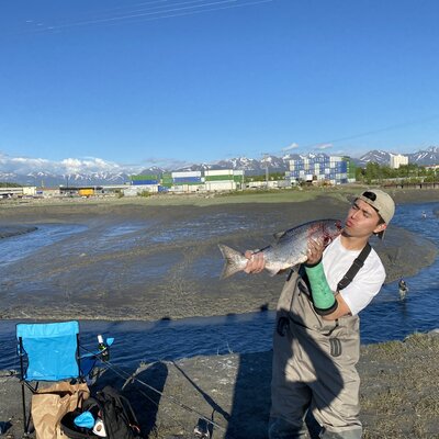 Timeline: Adrian's timeline