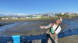 Timeline: Adrian's timeline