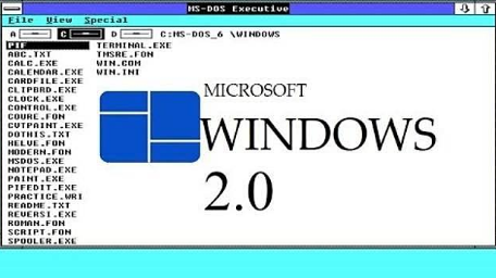 WINDOWS 2.0 y 2.1