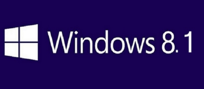 WINDOWS 8.1