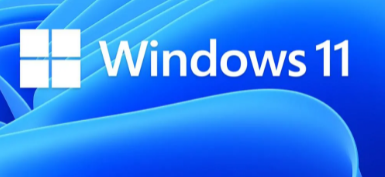 WINDOWS 11