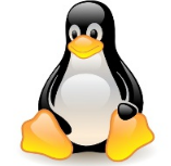 Primera Version Oficial de Linux