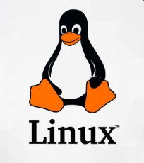 LOS INGRESOS DE LINUX.
