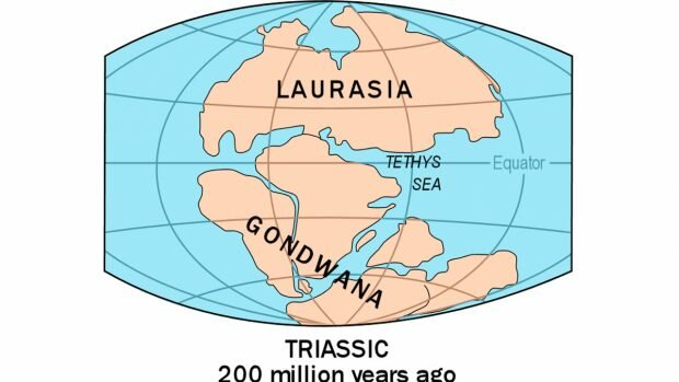 Se forman Gondwana y Laurasia (partes de la Pangea)