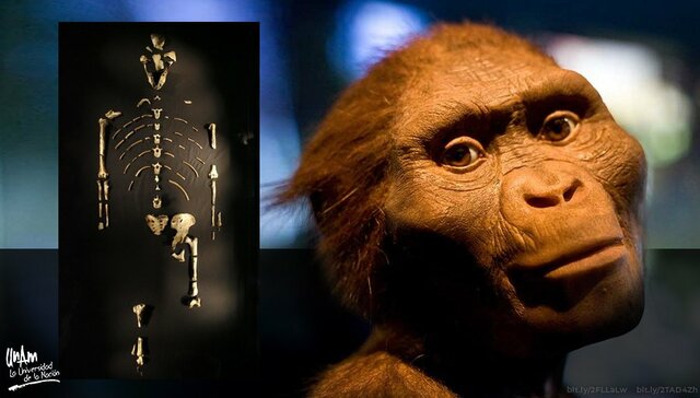 Última abuela común de humanos y chimpancés