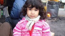 Timeline: caso de sofia herrera