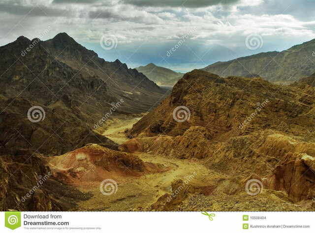 Especies (15 u 8 millones de años)