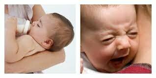 Infancy- Social Development