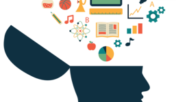 Timeline: Modelos Pedagógicos