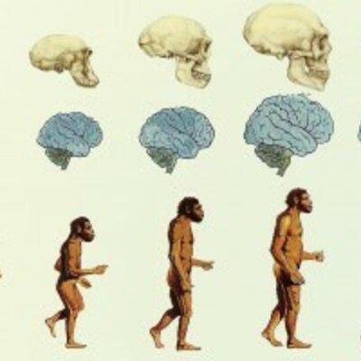 Timeline: Linea del tiempo Sociedad y Naturaleza